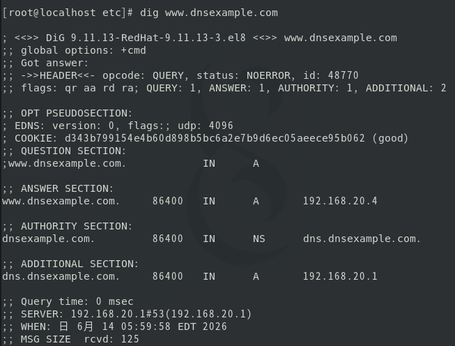 dns6