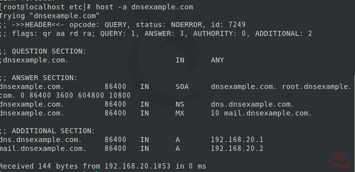 dns7